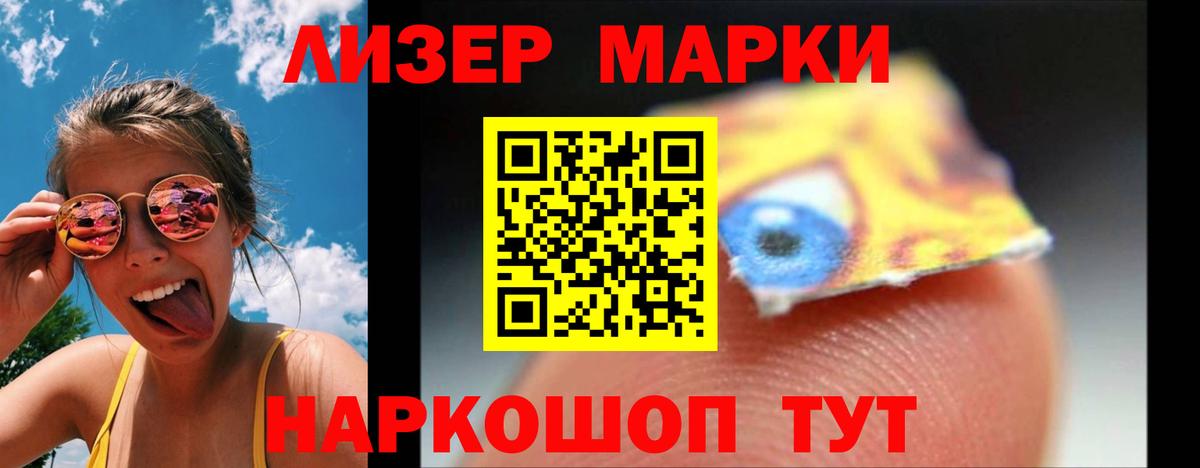 Псилоцибиновые грибы Кудрово