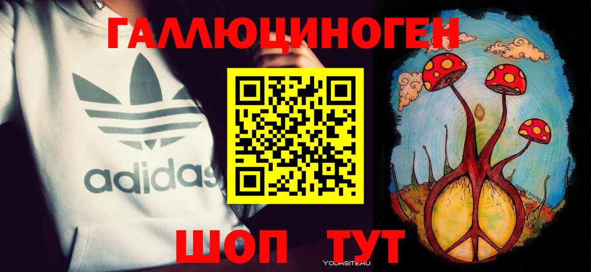 Кудрово  Псилоцибиновые грибы Psilocybine cubensis  Вход с VPN  Псилоцибиновые грибы Psilocybine cubensis 